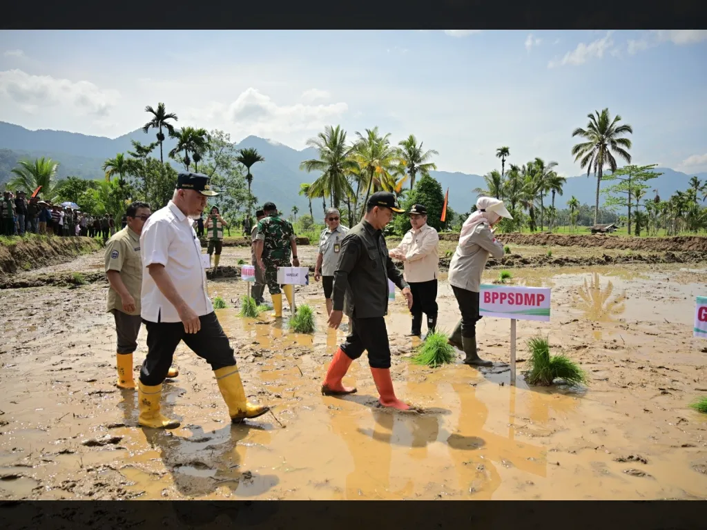 Percepat Pemulihan Lahan Terdampak Bencana, Gerakan Tanam Serempak Dipusatkan di Agam}