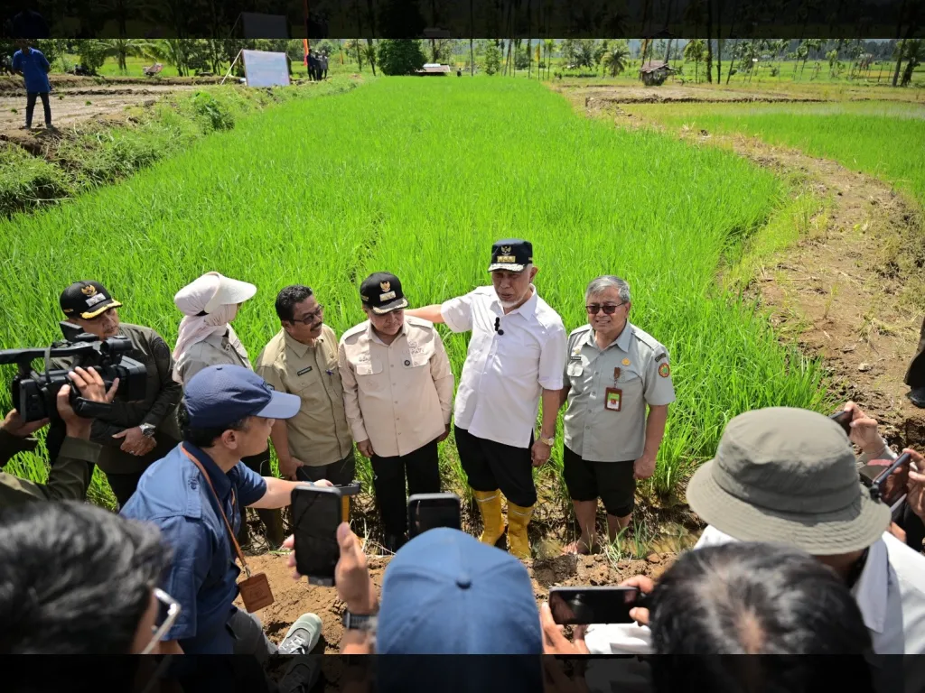 Penjelasan progses pemulihan lahan terdampak bencana  ketika dilakukan tanam serempak di Agam